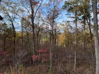 Broken Bow, OK 74728,Lot 31 Moonshiner Springs Trail