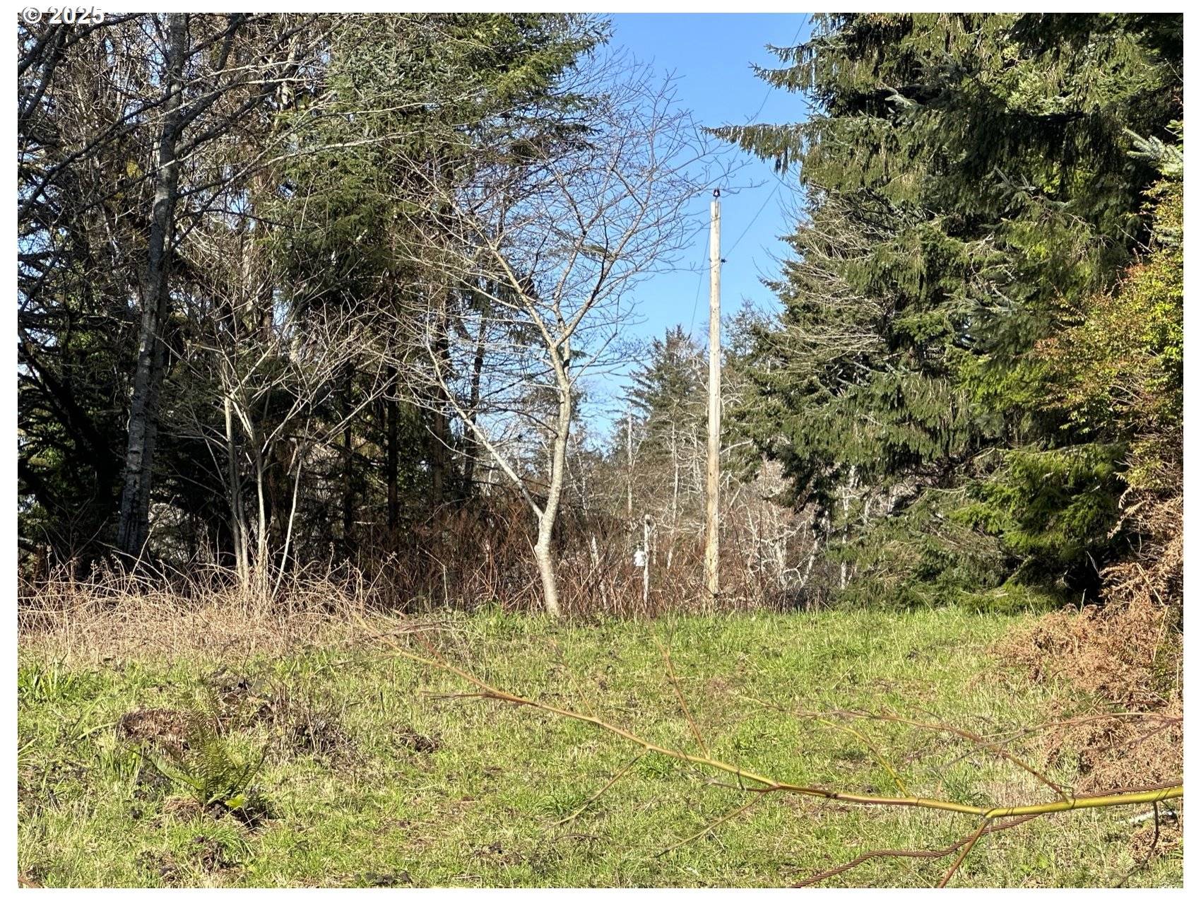 Sixes, OR 97476,Sixes River RD