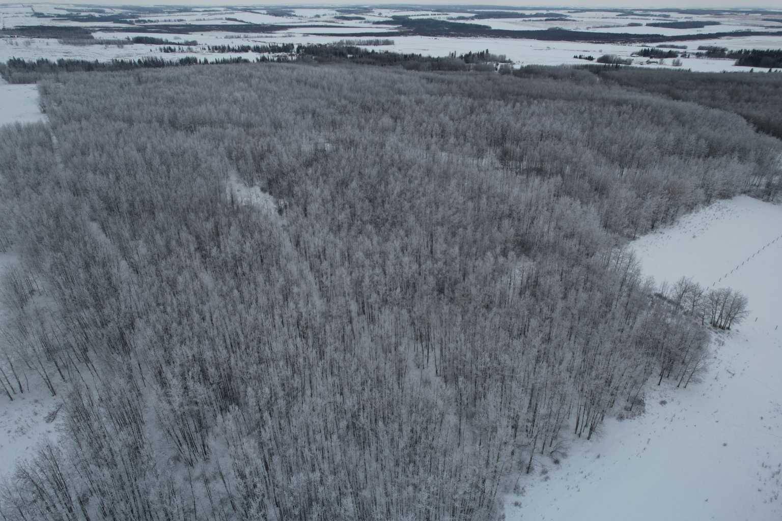 Rural Ponoka County, AB T4L 1X1,On Range Road 282