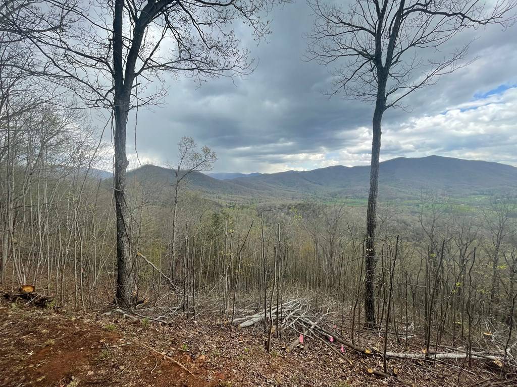 Hayesville, NC 28904,0 Broken Arrow Trail