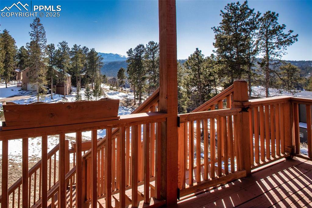 Woodland Park, CO 80863,350 Panther CT