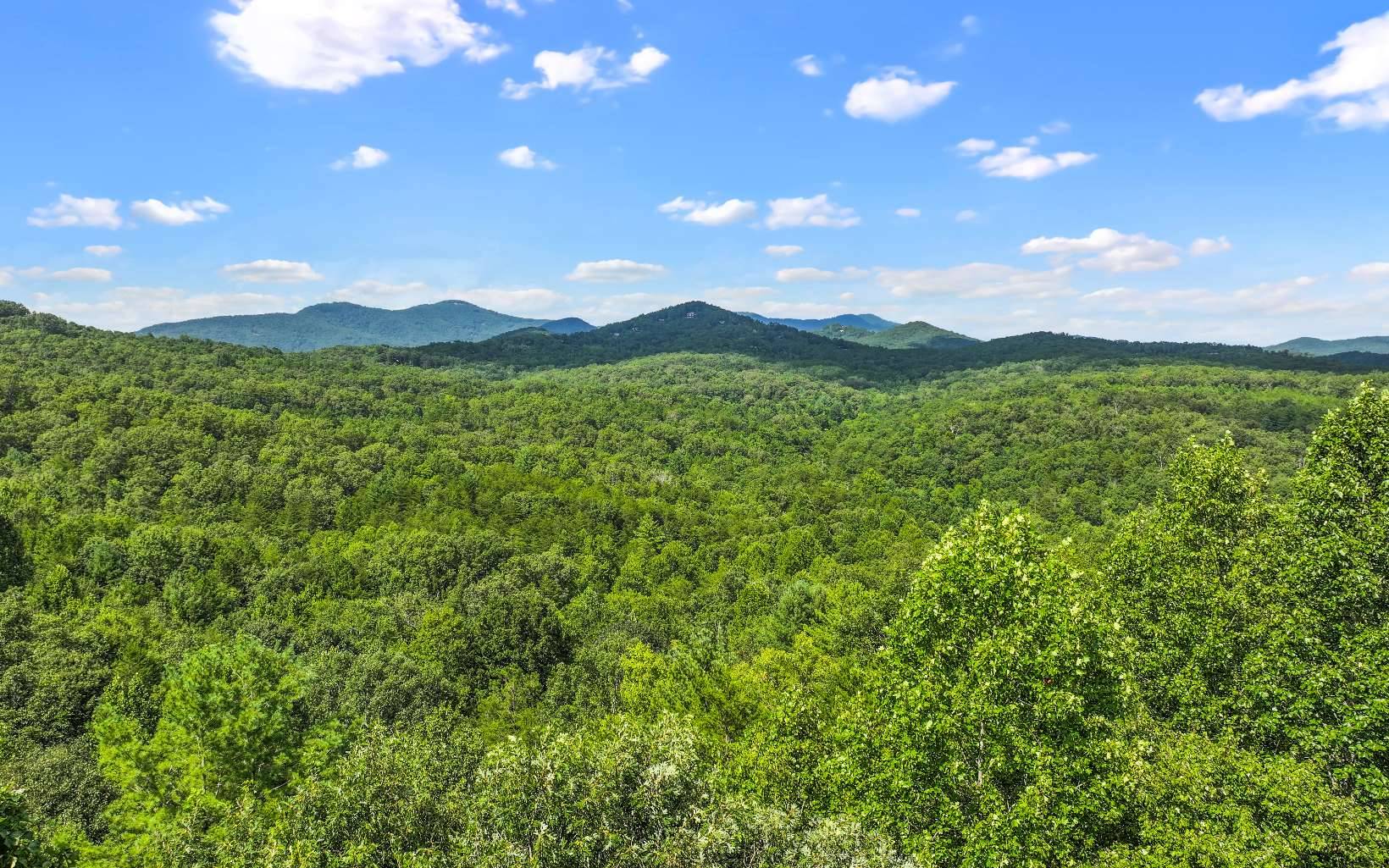 Mineral Bluff, GA 30559,0 North View Trail