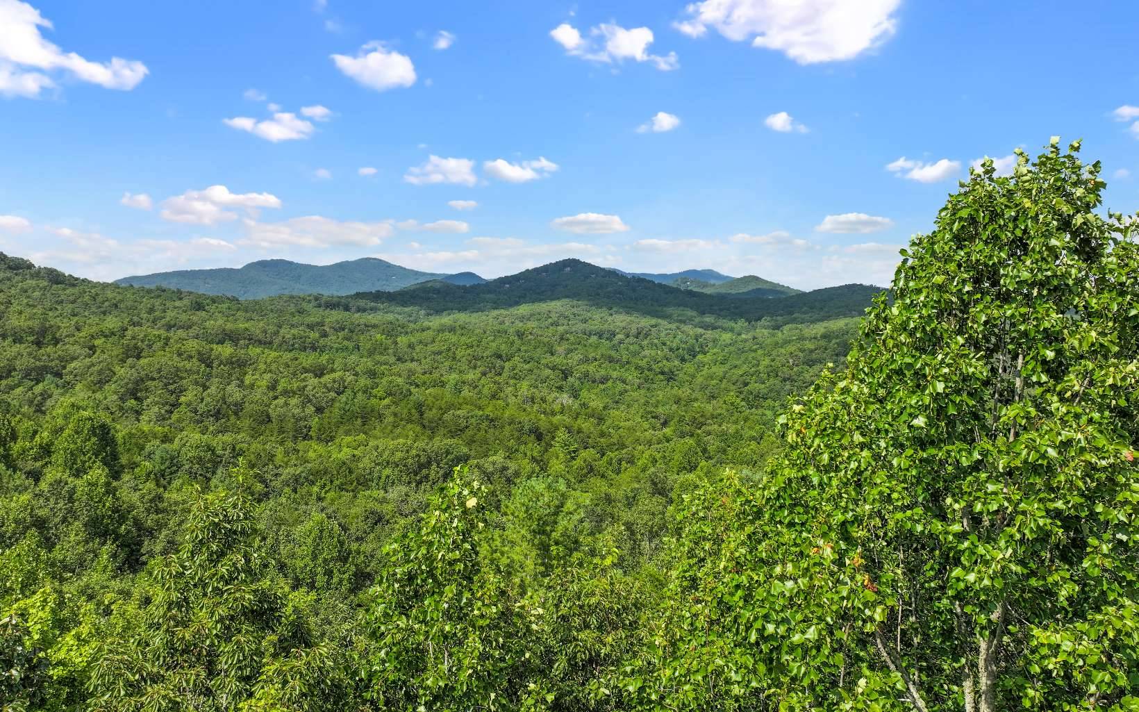 Mineral Bluff, GA 30559,0 North View Trail