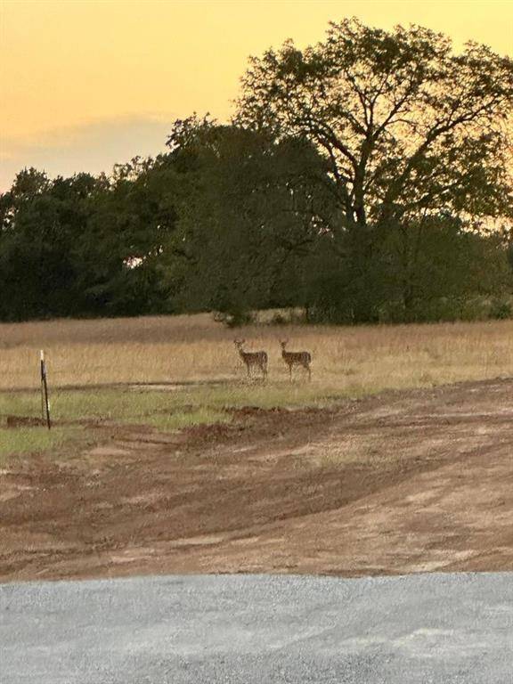 Alvord, TX 76225,107 (Lot A1) Hidden Timbers Drive