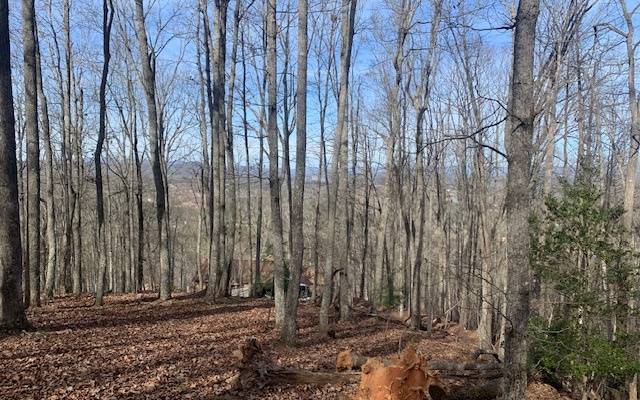 Blairsville, GA 30512,LOT7B Timber Bend