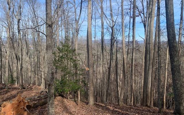 Blairsville, GA 30512,LOT7B Timber Bend