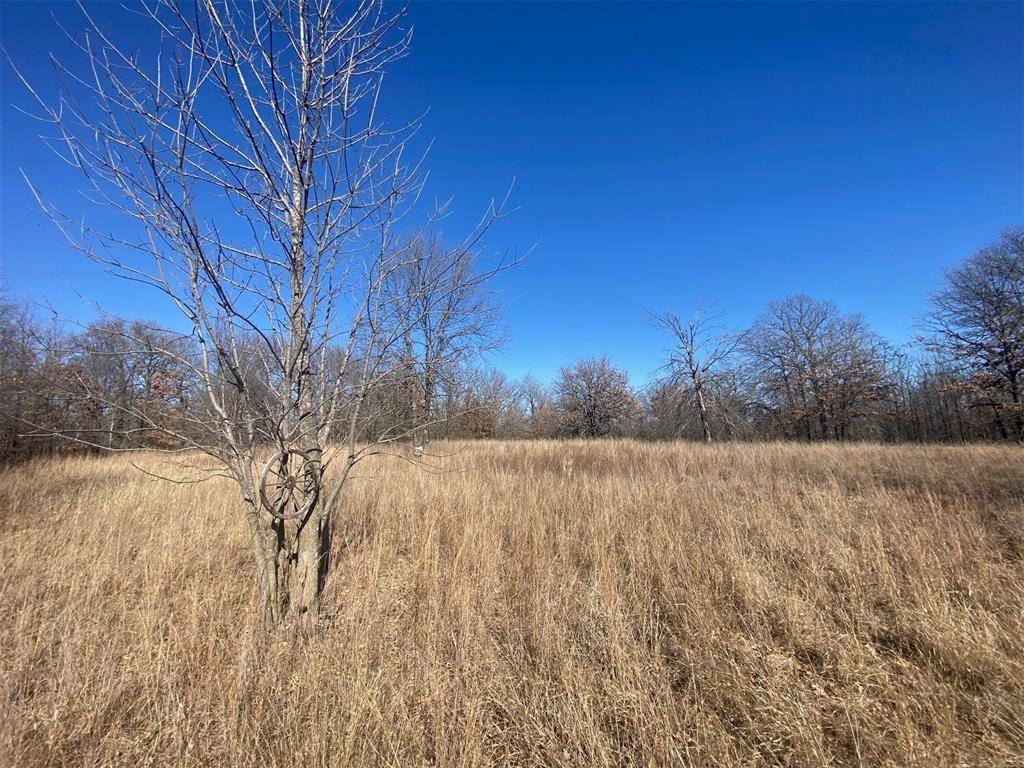 Sasakwa, OK 74867,0000 NS 3615 Road