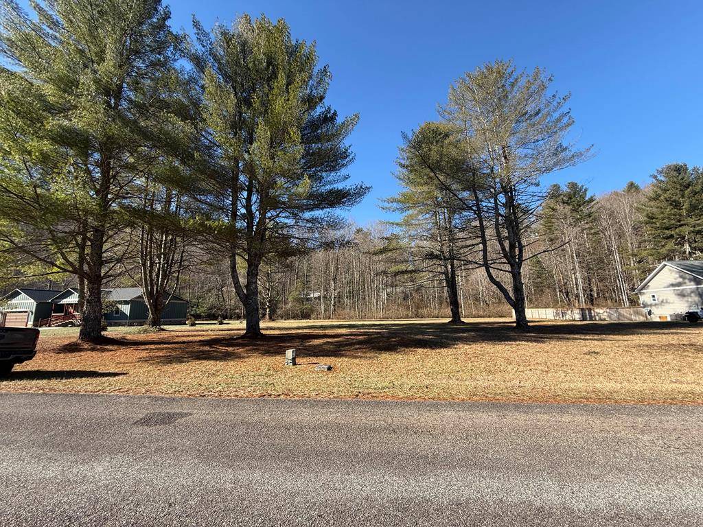 Hiawassee, GA 30546,Lot 77 Big Pine Drive