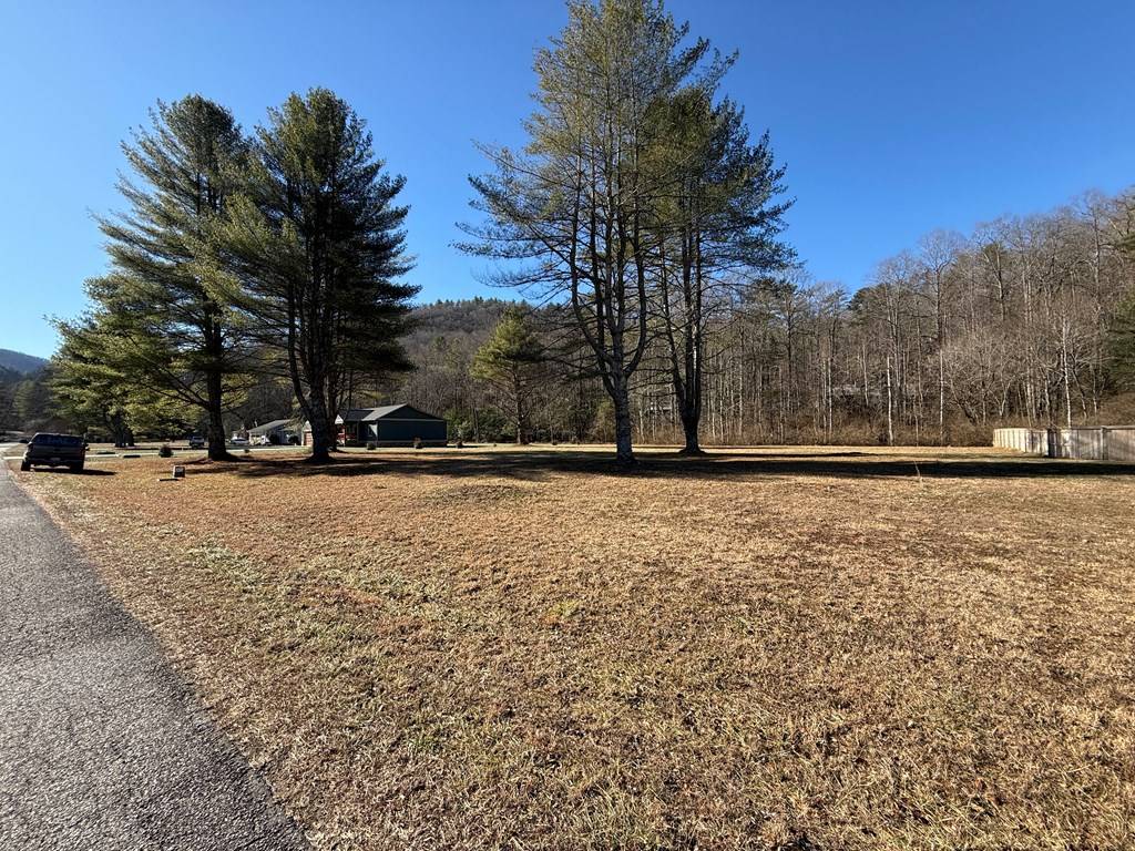 Hiawassee, GA 30546,Lot 77 Big Pine Drive