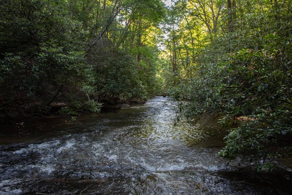 Blue Ridge, GA 30513,1990 Big Creek