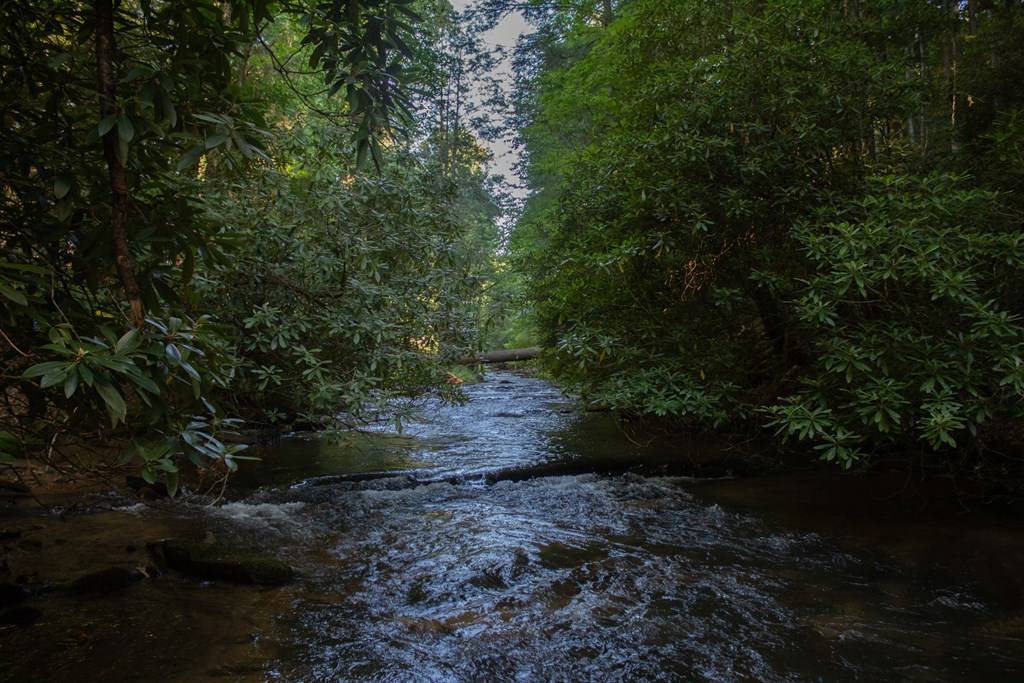 Blue Ridge, GA 30513,1990 Big Creek