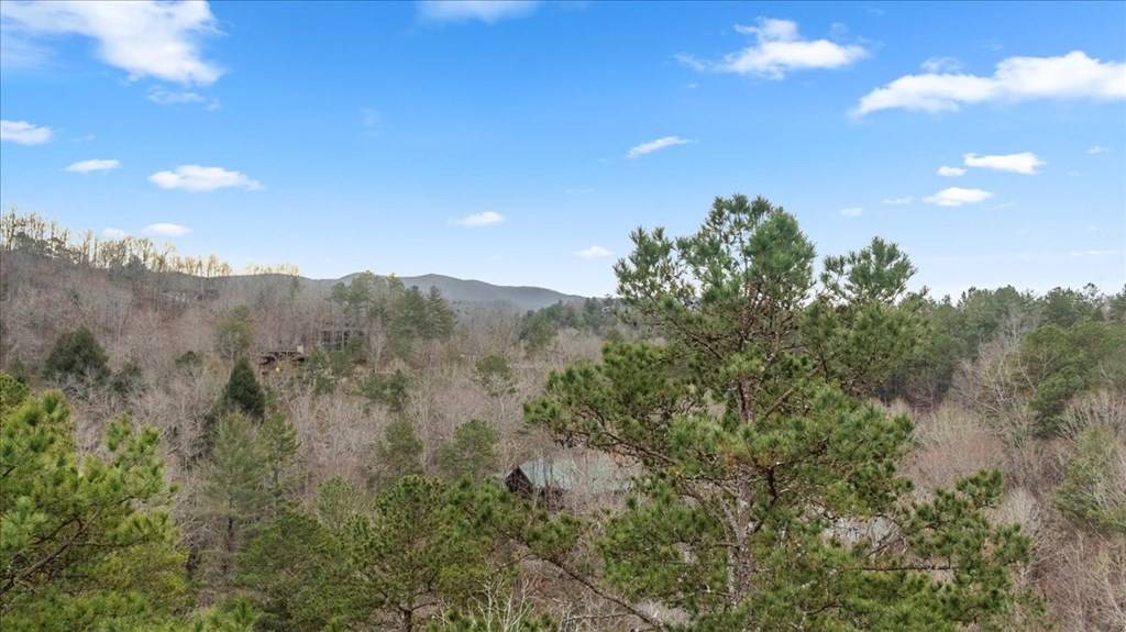 Blue Ridge, GA 30513,26 Chickasaw Trail