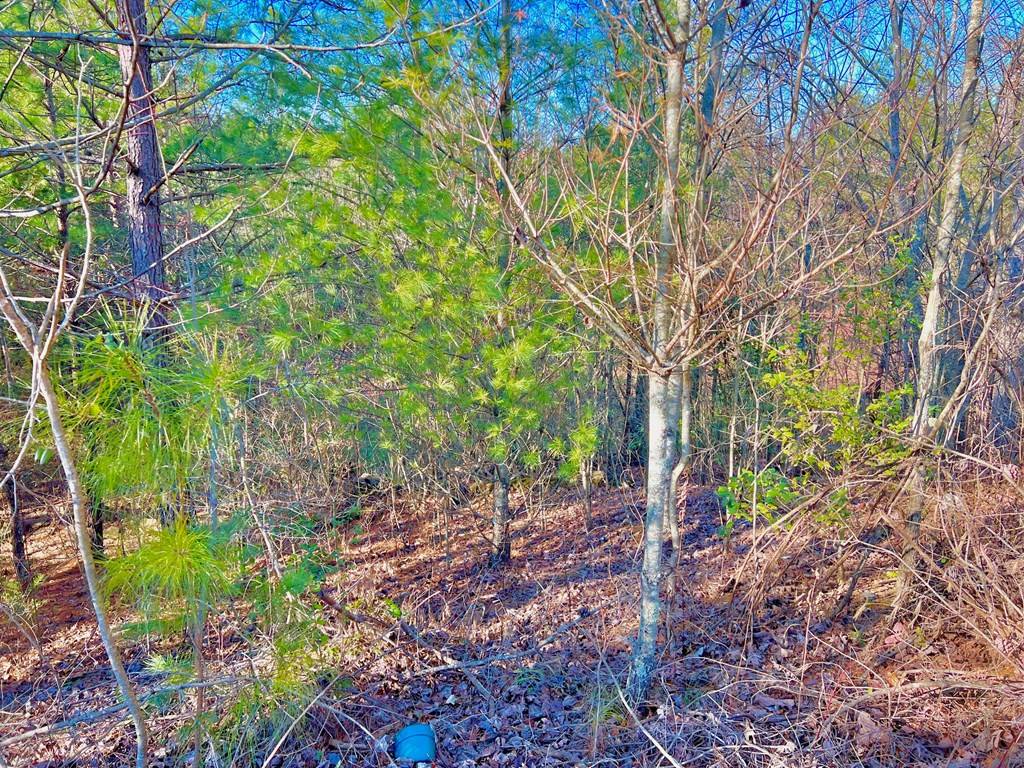 East Ellijay, GA 30540,Lot 14 Valley Court