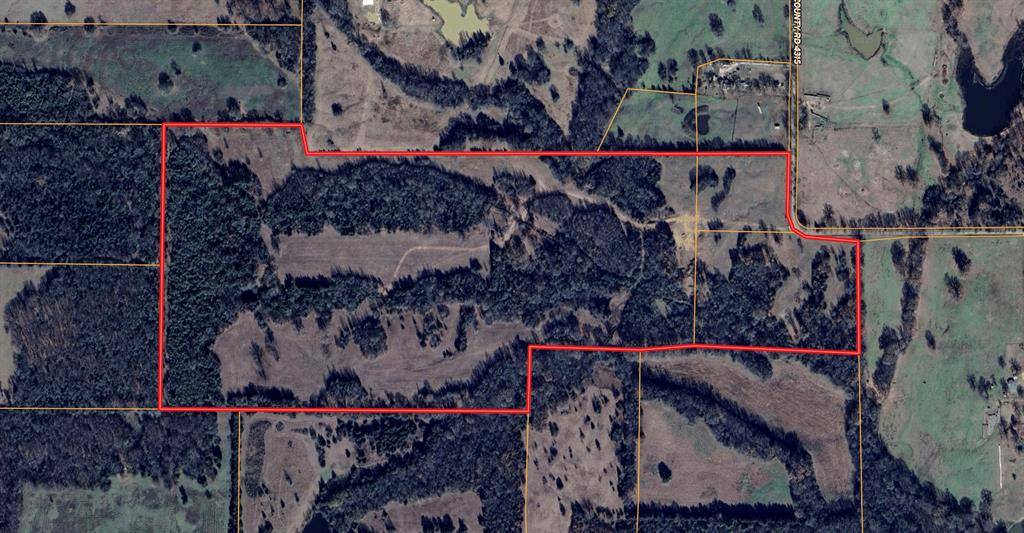 Cookville, TX 75558,0000 CR 4315