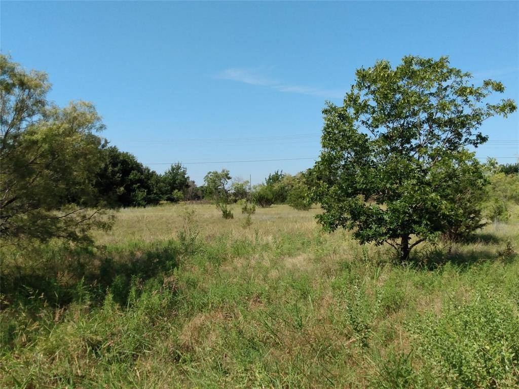 Bluff Dale, TX 76433,3409 County Road 156