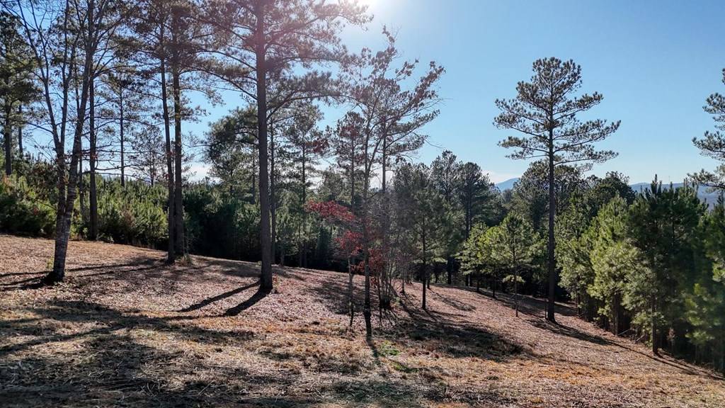 Blairsville, GA 30512,Lot 276 Thirteen Hundred