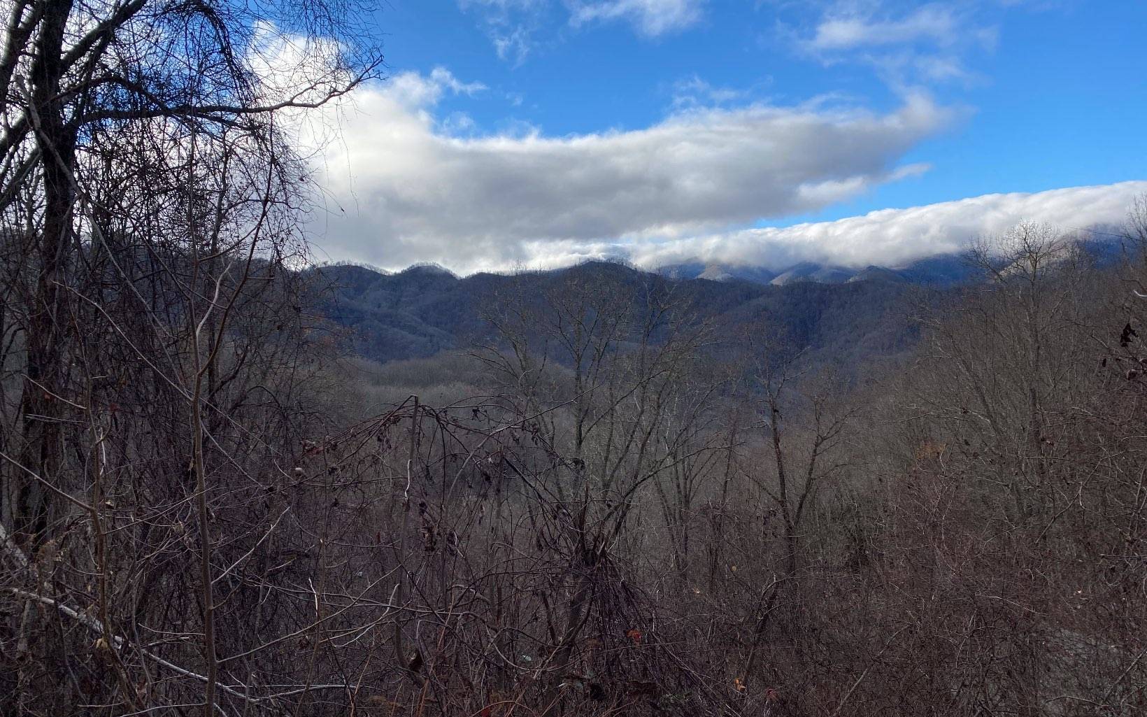 Bryson City, NC 28713,J-3 Georgianna Lane