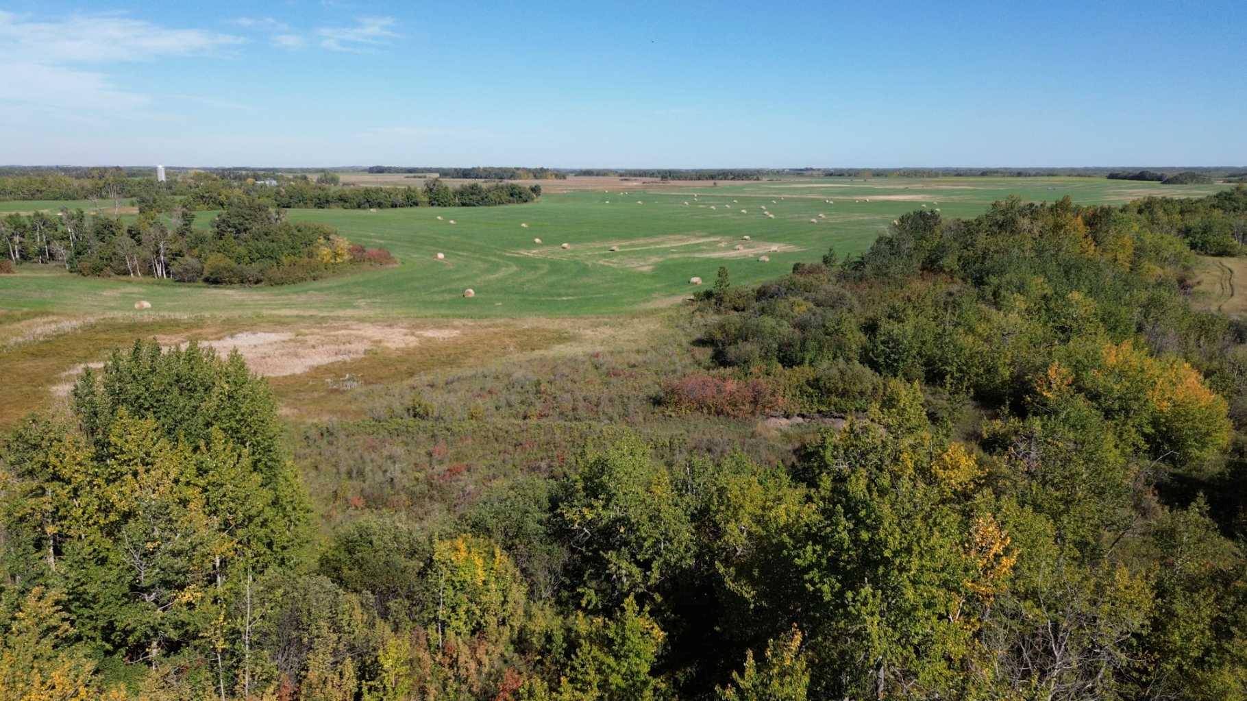 Rural Camrose County, AB T0B 0H0,On Range Road 10