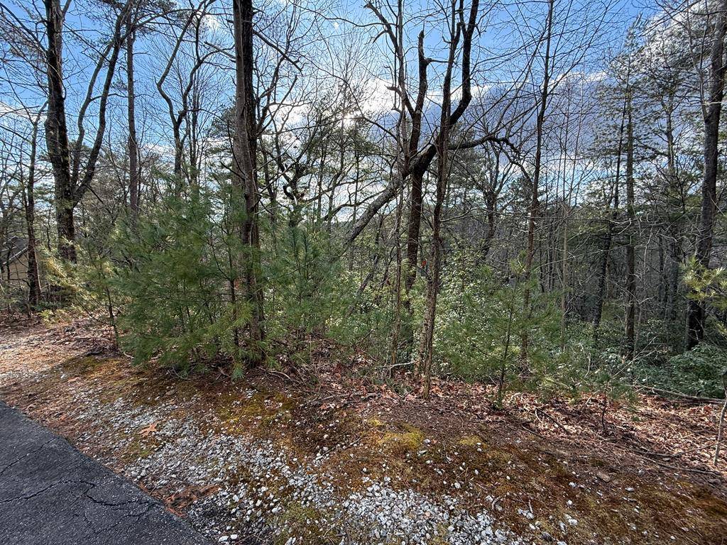 Clayton, GA 30525,Lot 103 Lancelot Loop