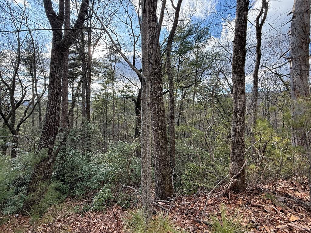 Clayton, GA 30525,Lot 103 Lancelot Loop