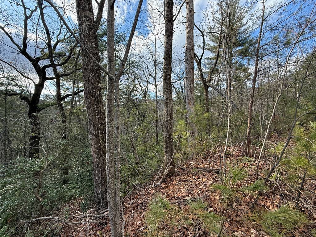 Clayton, GA 30525,Lot 103 Lancelot Loop