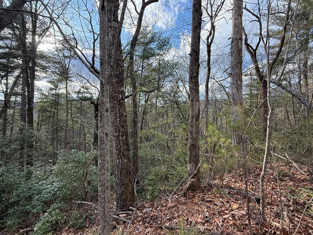 Clayton, GA 30525,Lot 103 Lancelot Loop