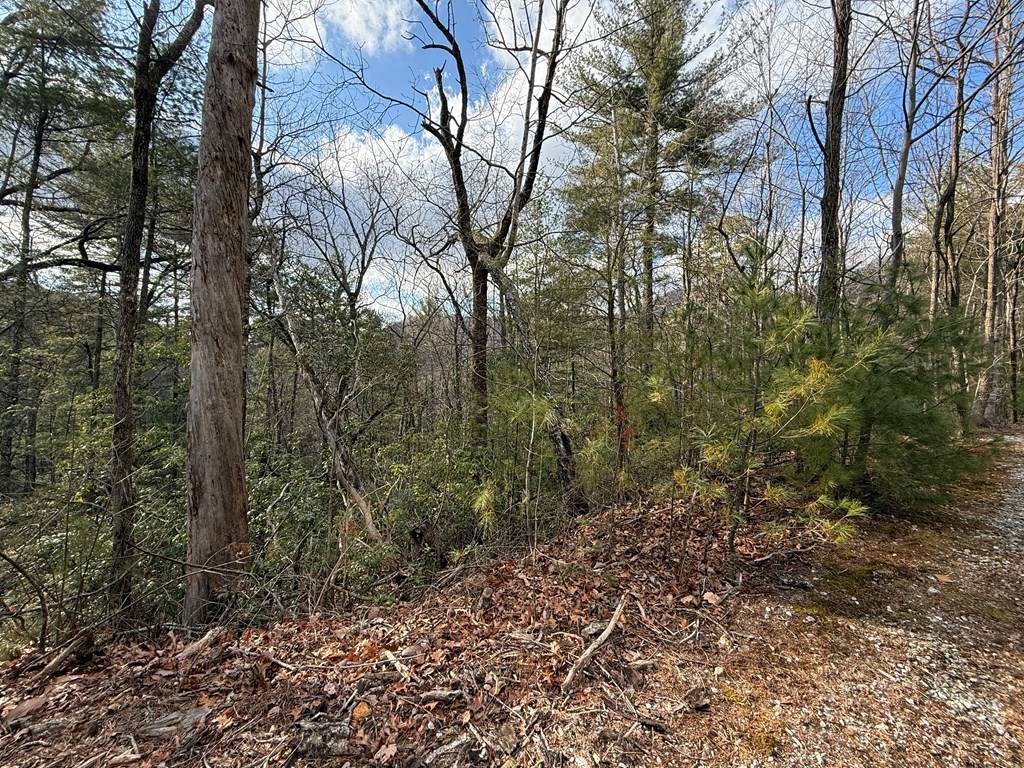 Clayton, GA 30525,Lot 103 Lancelot Loop