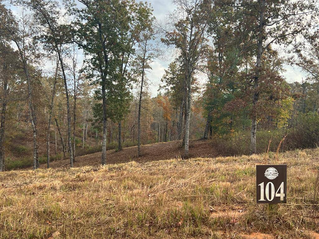 Ellijay, GA 30540,Lot 104 High River Road