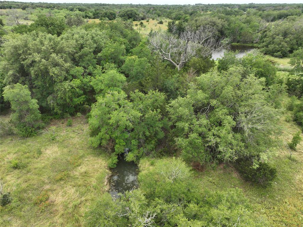 Hico, TX 76457,TBD County Road 132 Lot 1