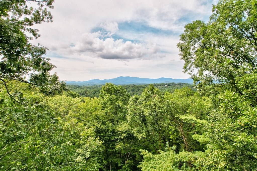 Ellijay, GA 30540,25 Briar Creek Drive