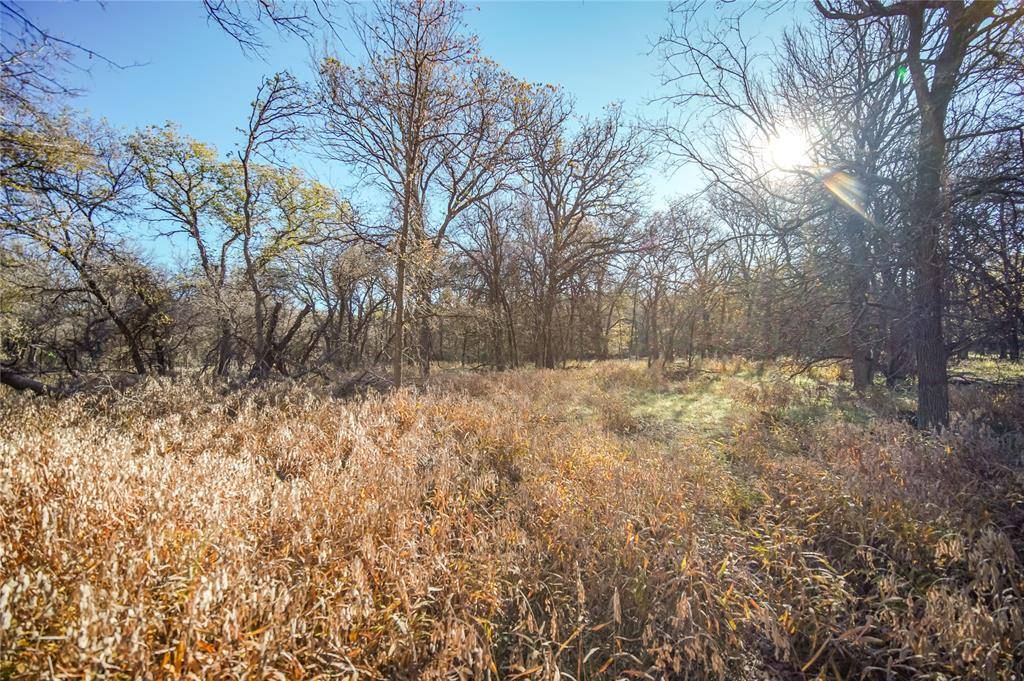 Jacksboro, TX 76458,TBD 281 Highway