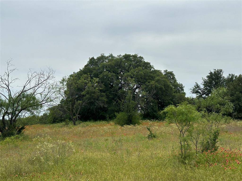 Hico, TX 76457,TBD County Road 132 Lot 2