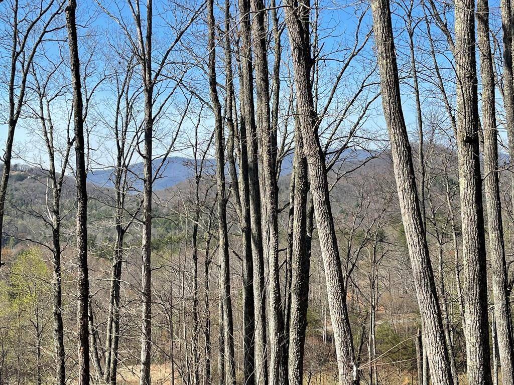 Hayesville, NC 28904,Address not disclosed