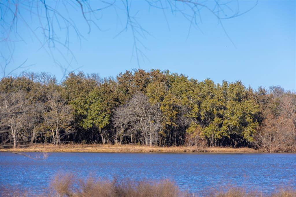 Cross Plains, TX 76443,24000 State Highway 279