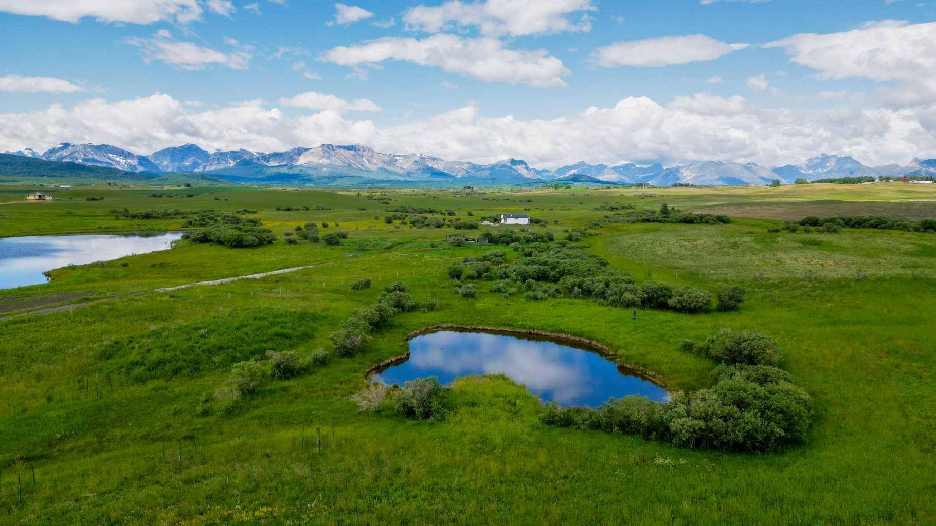 Rural Cardston County, AB T0K 1N0,Near Hwy 5 Near Mountain View