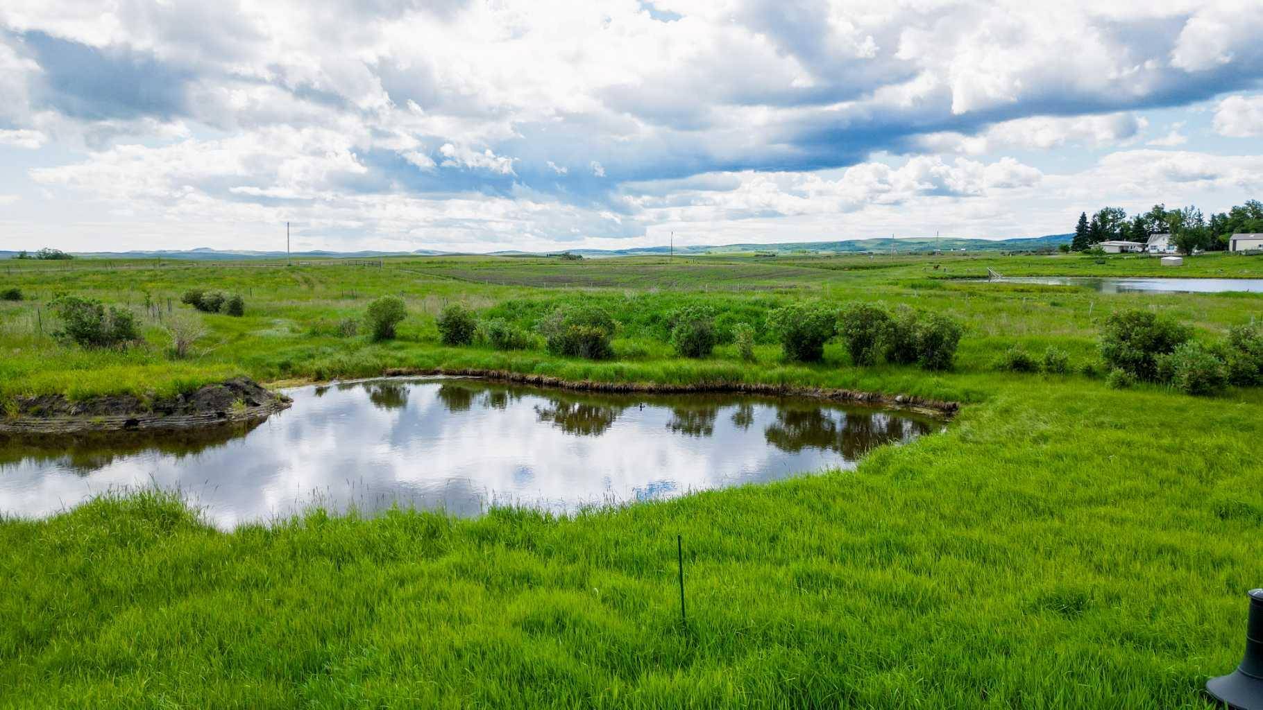 Rural Cardston County, AB T0K 1N0,Near Hwy 5 Near Mountain View