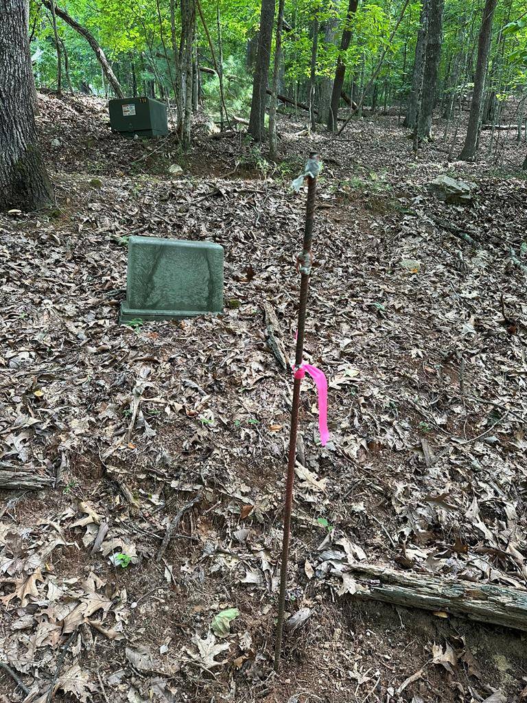 Morganton, GA 30560,Lot 13 Picklesimer Mountain Road