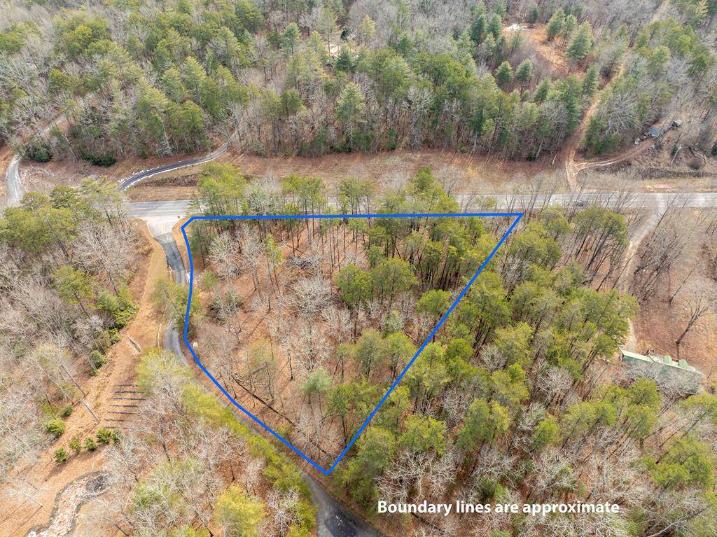 Mineral Bluff, GA 30559,Lot 11 Hawks Ridge Drive