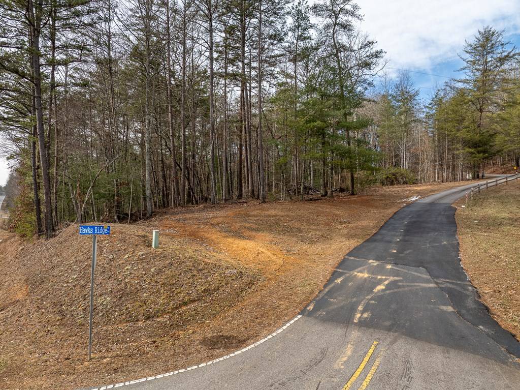 Mineral Bluff, GA 30559,Lot 11 Hawks Ridge Drive