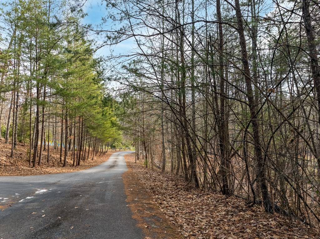 Mineral Bluff, GA 30559,Lot 11 Hawks Ridge Drive