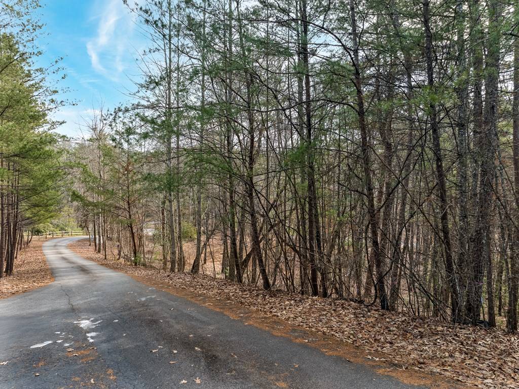 Mineral Bluff, GA 30559,Lot 11 Hawks Ridge Drive