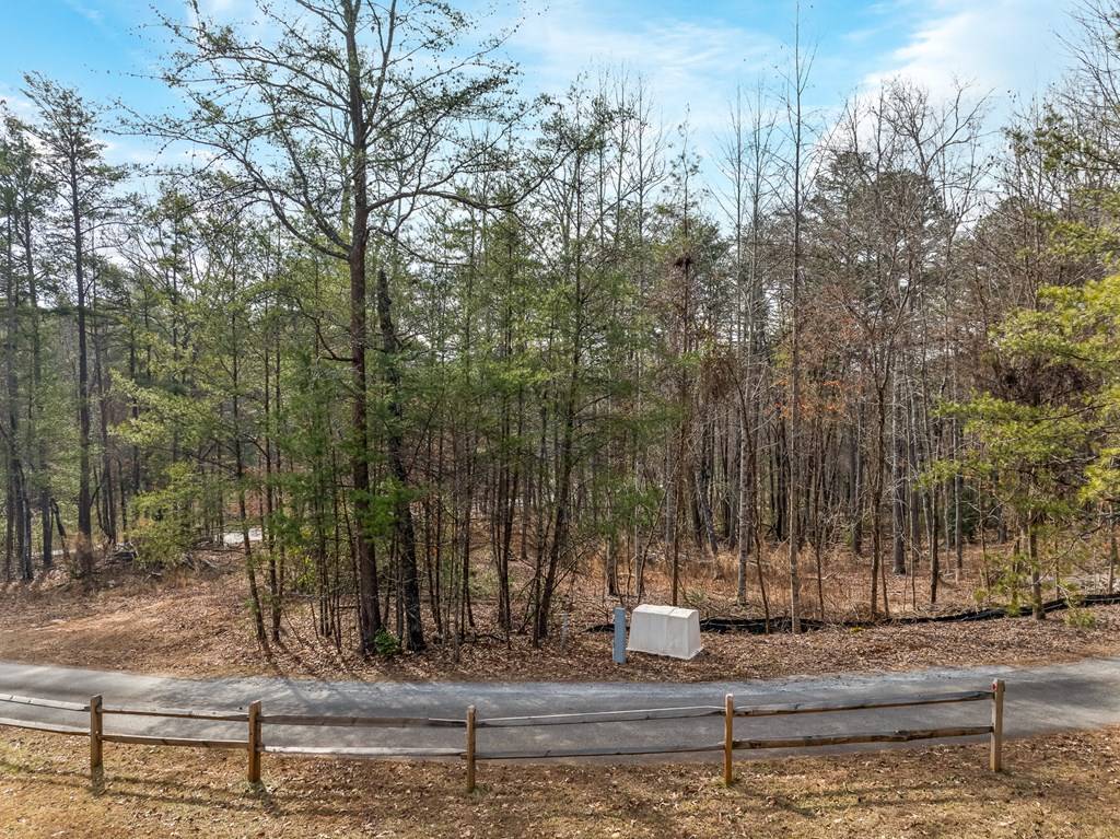 Mineral Bluff, GA 30559,Lot 11 Hawks Ridge Drive