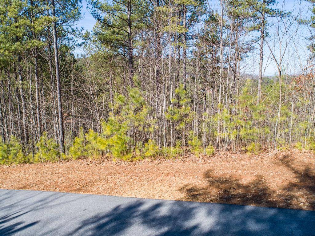 Blairsville, GA 30512,Lt 74 Ridge Crest