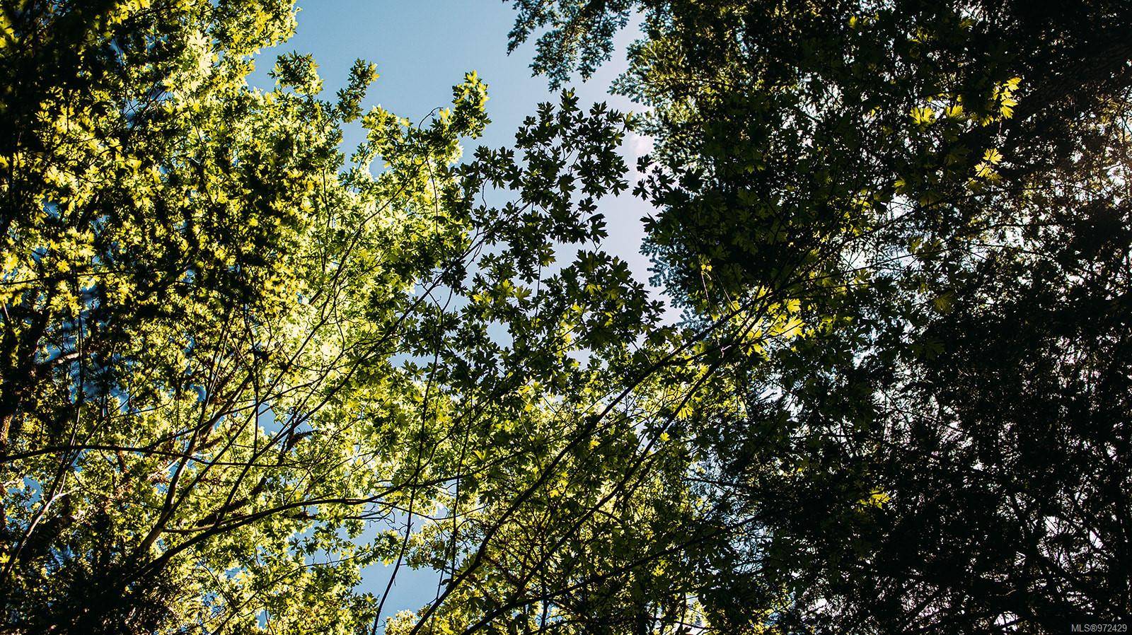 Gabriola Island, BC V0R 1X1,Lt 14 Sitka Grove