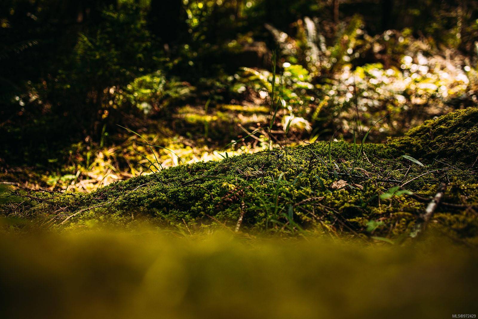 Gabriola Island, BC V0R 1X1,Lt 14 Sitka Grove