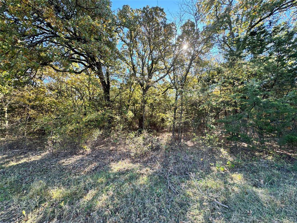 Gainesville, TX 76240,TBD Lot 9 Clark Road