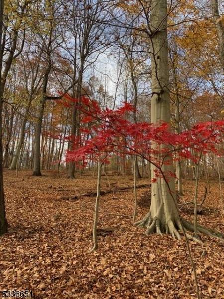 Raritan Twp., NJ 08822,85 Cherryville Hollow Road