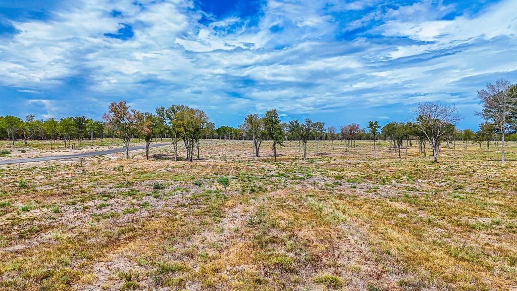 Corsicana, TX 75110,Lot 126 Waterfront Club