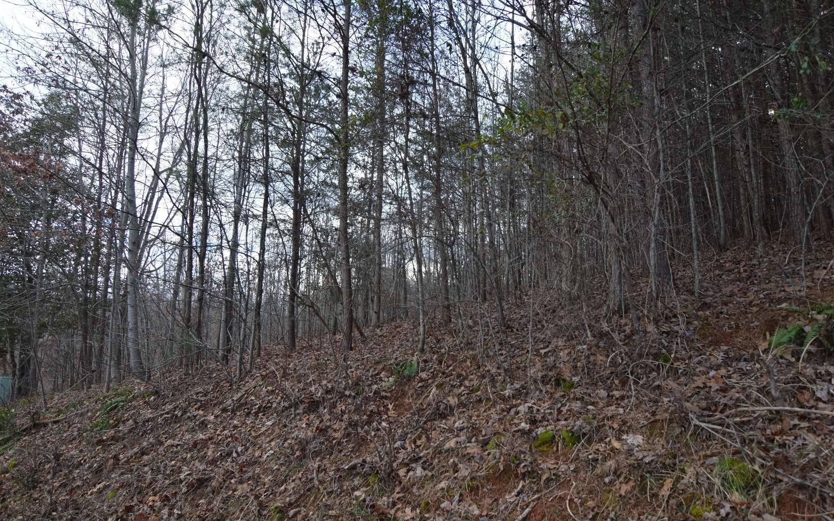 Hiawassee, GA 30546,LOT 4 Brer Fox Ridge