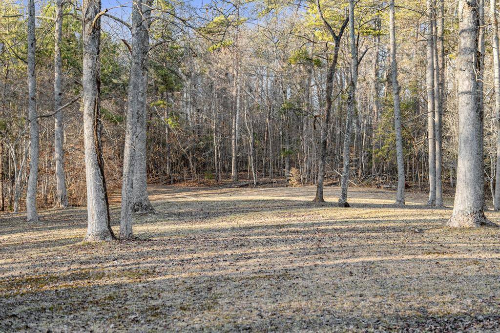 Mineral Bluff, GA 30559,198 Pine Knot Lane